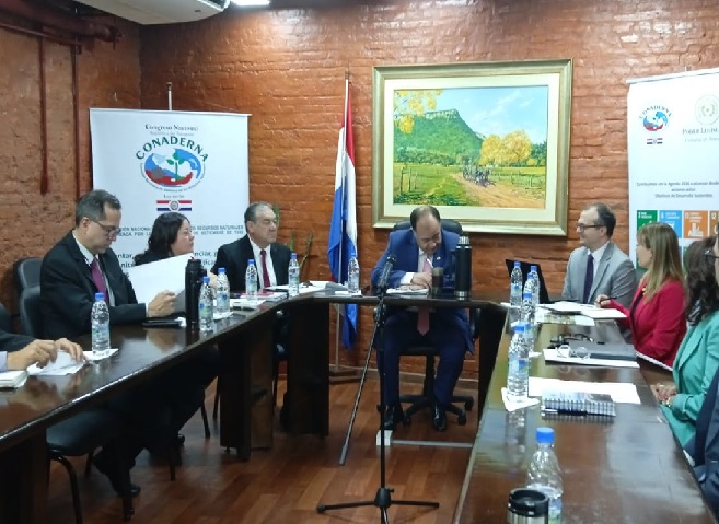 Materia Nuclear Paraguay, Camara de Senadores