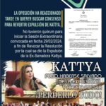 noticias de paraguay, corrupción en el senado, kattya gonzalez, perdida de investidura.